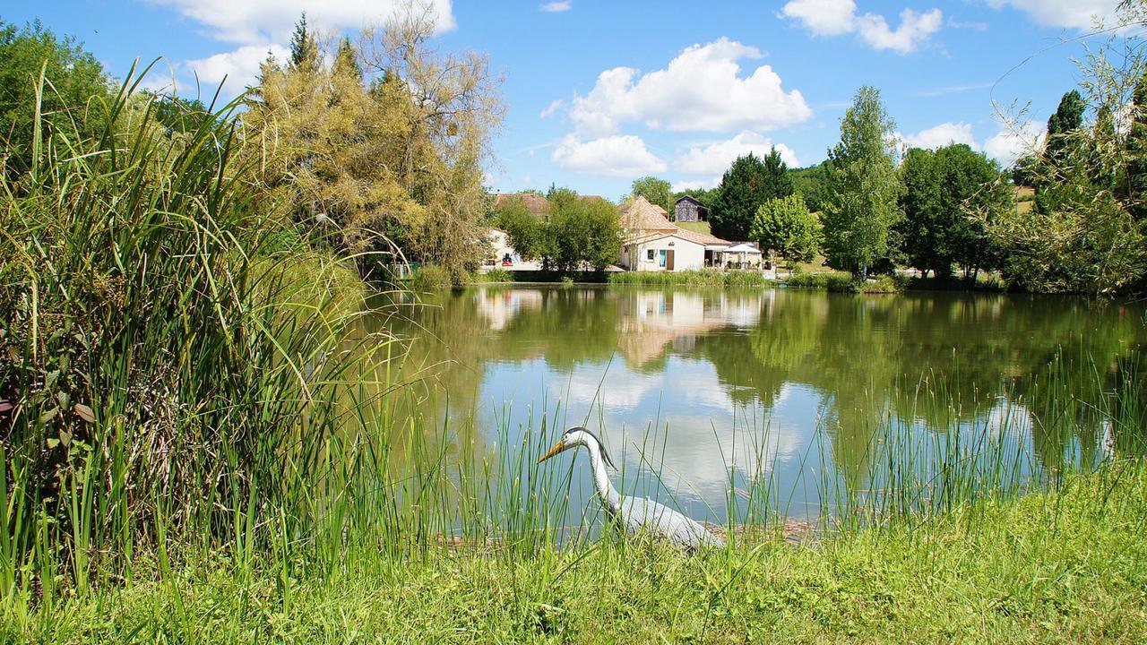 Le Domaine De L'Etang De Sandanet Issac ภายนอก รูปภาพ